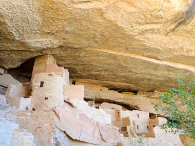 Kolorado 'daki Mesa Verde Ulusal Parkı' ndaki Cliff Palace 'da atalarımızdan kalma Puebloanlar tarafından inşa edilen antik taş kulenin ve konutların yakın çekimi.