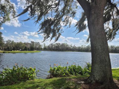 Yeşillik ve görkemli ağaçlarla çevrili sakin bir göl manzarası. Beyaz bulutlar mavi gökyüzünde yüzerler, doğanın sakinliğini yansıtırlar. Bu sahne güneşli bir öğleden sonra doğal parkın huzurlu güzelliğini yakalar..