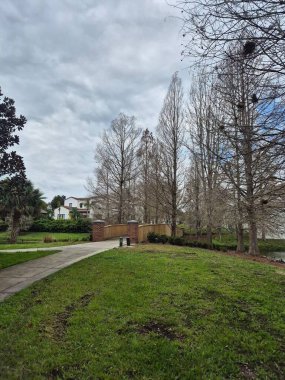 Bulutlu bir gökyüzünün altında, uzun ve kuru ağaçlarla çevrili, sessiz bir parktaki patika manzarası. Arka plandaki ahşap köprü doğa sahnesine misafirperver bir dokunuş ekliyor. Huzur ve içgözlem atmosferi yaratıyor..