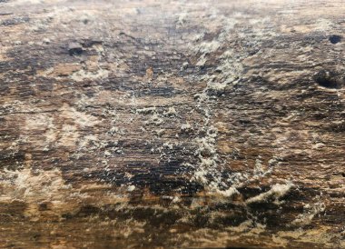 Kumlu ağaç gövdesi dokusu