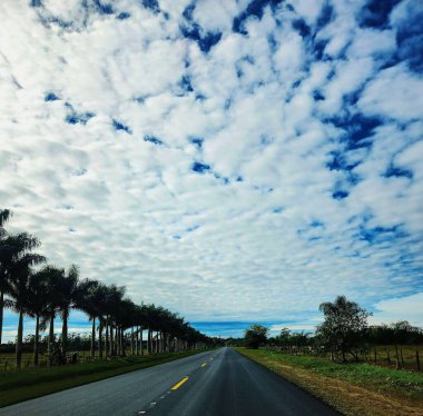 Büyük hindistan cevizi ağaçlarının eşlik ettiği uzun bir yol. Uçsuz bucaksız mavi gökyüzü beyaz bulutlarla dolu..