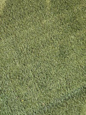 Synthetic grass floor texture. clipart