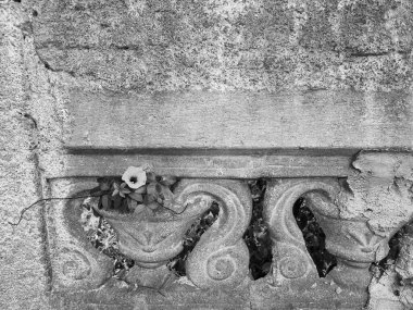 Sahne bir nostalji ve huzur hissi uyandırıyor, kentsel bir ortamda doğanın geçiciliğini yakalıyor..