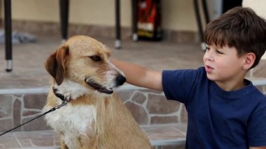 Genç çocuk, basamaklarda oturup derin bir duygusal bağ kurarken köpeğini sevgiyle okşar.. 