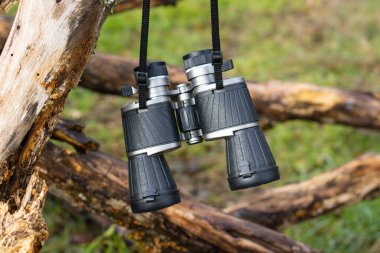 Devrilmiş bir ağaçta siyah dürbün, seyahat konsepti. Yüksek kalite fotoğraf