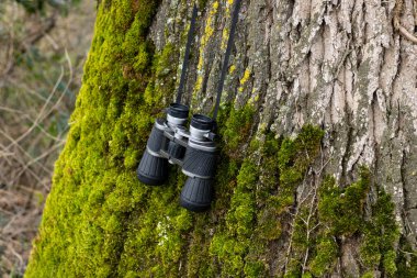 Devrilmiş bir ağaçta siyah dürbün, seyahat konsepti. Yüksek kalite fotoğraf