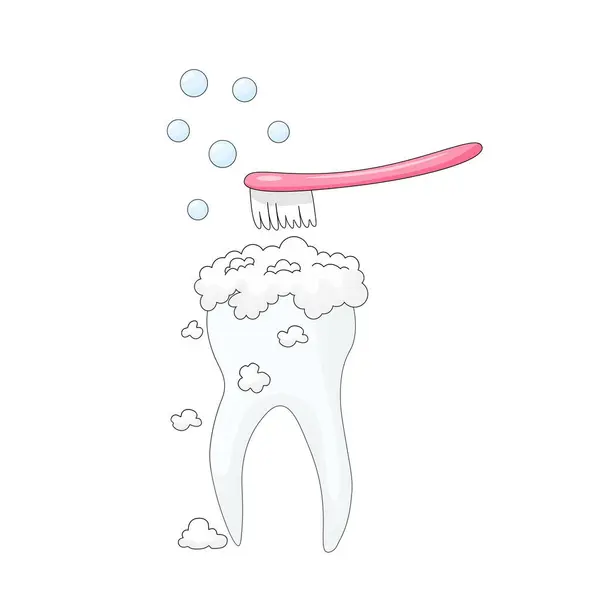 Beyaz arka plan, diş fırçası ve diş macunu ile yapılan yemek artıkları ve yumuşak plaktan dişlerin yüzeyini temizlemek için yapılan kişisel hijyen prosedürü..