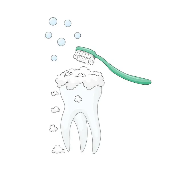 Beyaz arka plan, diş fırçası ve diş macunu ile yapılan yemek artıklarından ve yumuşak plaketten dişlerin yüzeyini temizlemek için kişisel hijyen prosedürü..