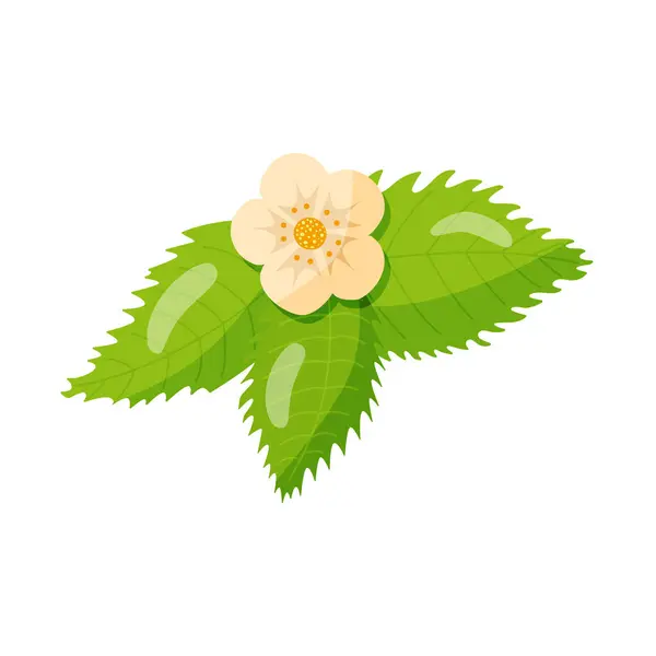 yemyeşil yapraklı renkli çilek çiçeği, el çizimi, vektör.