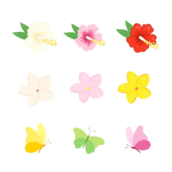 Renkli renkli yaz çiçekleri ve renkli kelebekler.