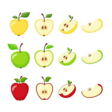 Elma, yeşil, sarı, kırmızı meyve çizimleri. Elmalar bölümde. El çizimi