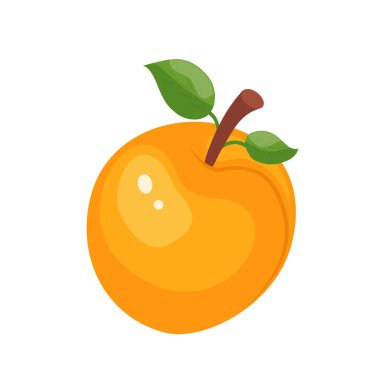 Taze kayısı meyve ikonu. Meyve suyu, meyve suyu veya vitaminli sağlıklı yiyecek ve tatlı için organik kayısı meyvesi. Beyaz arkaplanda vektör simgesi çizimi izole edildi