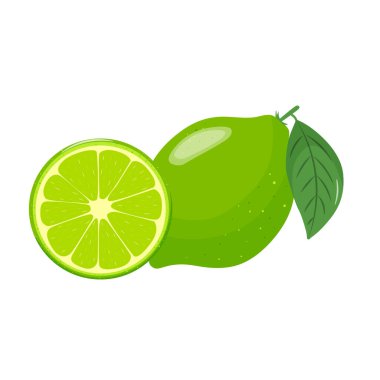 Limon simgeleri. Parlak meyveler, yarımlar, yapraklı dilimler. Bahar ve yaz tasarımı için elementler. El çizimi