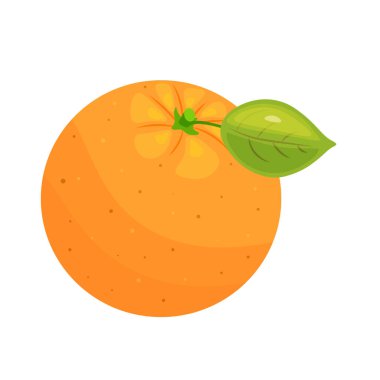 Taze portakal, elle çizilmiş, yapraklı portakal meyvesi.