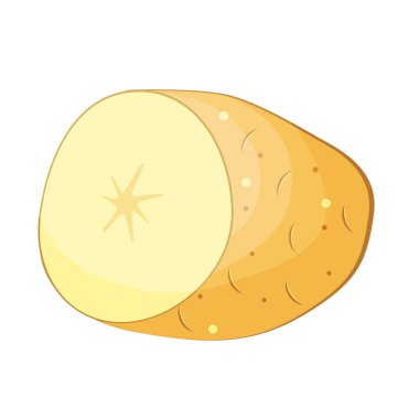 Beyaz arka planda patatesin el çizimi