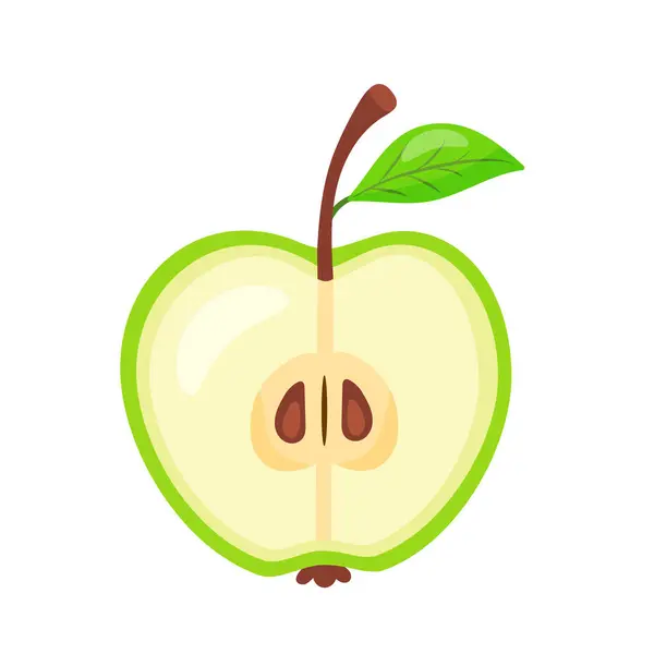 Kesilmiş yeşil tatlı ve lezzetli elmanın yarısı. Doğal meyveler, elle çizilmiş.