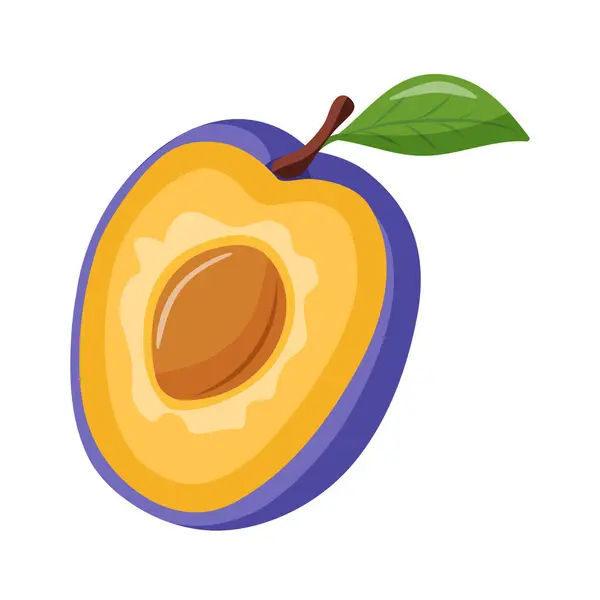 Eriğin yarısı. Meyve suyu, meyve suyu ya da vitamin ve tatlı için organik erikler. Beyaz arkaplanda vektör simgesi