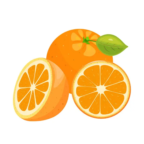 Beyaz arka planda bir bütün, bir kesit ve bir dilim turuncu renkli portakal. Tropik meyve mevsimi. El çizimi