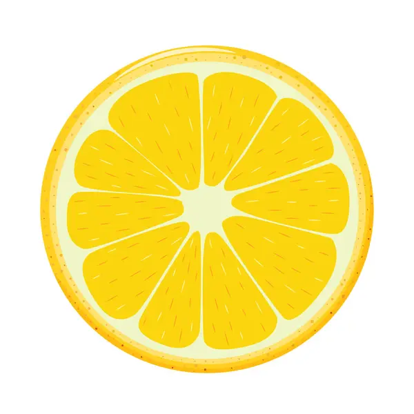 Beyaz arka planda sarı limon dilimleri. Vektör grafik tasarım ögeleri