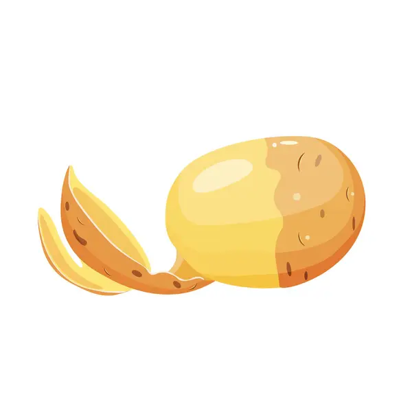 Soyulmuş patateslerin hepsi beyaz arka planda izole edilmiş.