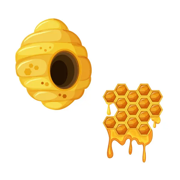 Colorful yellow beehive and honeycomb. Bee hive illustration isolated on white background