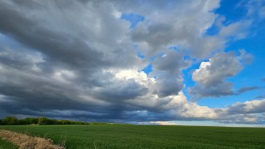 Buğday tarlası ve mavi gökyüzü olan güzel bir manzara.