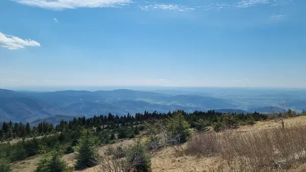 Yazın dağ manzarası