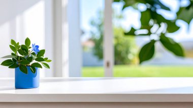 Yeşil yapraklı beyaz ve mavi vazo ve pencere kenarında mavi çiçek. iç tasarım
