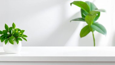 Masadaki vazoda yeşil yapraklar.