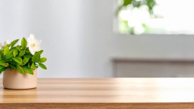 Odada taze çiçekli vazo ve kahve var.