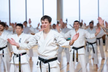 Karate classes in Paris.  clipart