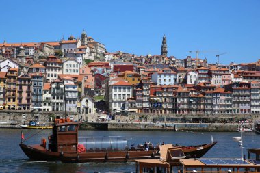 Mavi bir gökyüzünde oturan beyaz bir martı