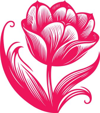 Lale vektör biçiminde biçimlendirildi