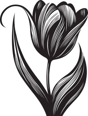 Lale vektör biçiminde biçimlendirildi