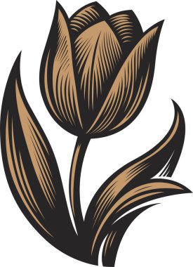 Bir çiçeğin vektör illüstrasyonu