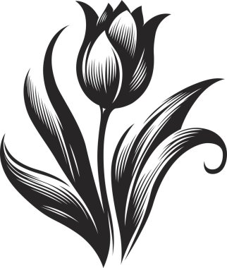 Bir çiçeğin vektör illüstrasyonu