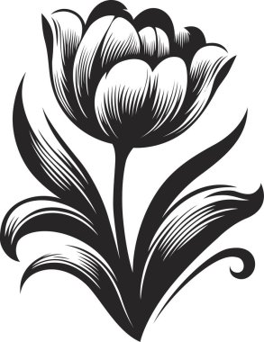 Bir çiçeğin vektör illüstrasyonu