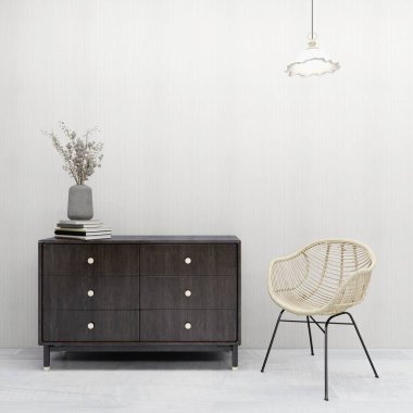 Süs bitkisi, depolama ünitesi, el yapımı sandalye ve tavan lambası olan bir odada duvar modeli. 3d görüntüleme, iç tasarım, 3d illüstrasyon