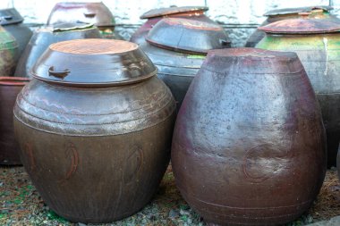 Kimchi çeşitli baharatlarla hazırlanmış geleneksel bir Kore mezesidir. Yüksek kalite fotoğraf