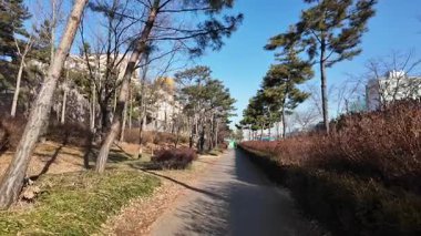 Ansan, Kore - 3 Şubat 2025: Kaldırımda yürüyüş. Yüksek kalite 4k görüntü