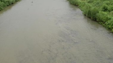 Majang-myeon Parkı. Köprüden nehre kadar görüntü. Güney Kore. Yüksek kalite 4k görüntü