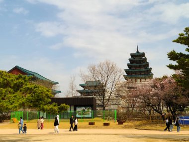 Seul, Güney Kore - 30 Mart 2024 Gyeongbokgung Sarayı, avlu. Yüksek kalite fotoğraf