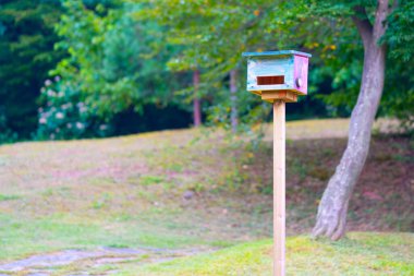 Ağaçta asılı renkli bir kuş evi. Yüksek kalite fotoğraf