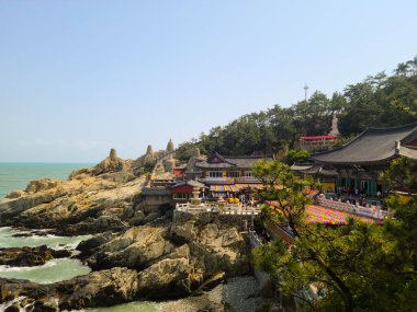 Busan, Güney Kore - 29 Mart 2024 Haedong Yonggungsa Tapınağı. Yüksek kalite fotoğraf