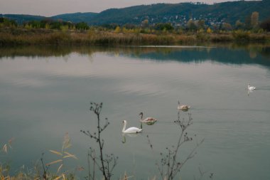 A natural complex equipped with separate cabins overlooking the mountains and a lake in the Czech Republic, along with a recreational area clipart