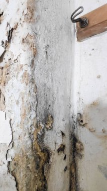 Kirli, eski bir duvar ve tuvalette kırık bir pencere.