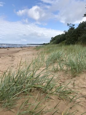 Kayalar ve kayalarla kaplanmış aktif deniz. Yüksek kalite fotoğraf