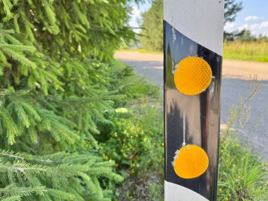 Yol boyunca trafik sıkışık ve çam ağaçları açık havada. 