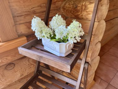  Kırsal evdeki ahşap tezgahta sergilenen vazodaki zarif ortanca. 