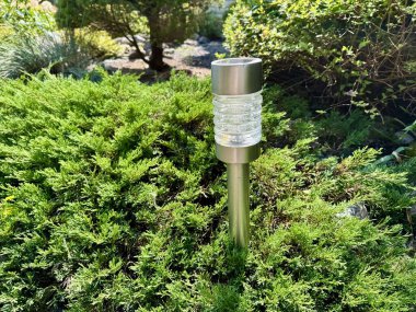 Klasik Edison ampulü bir ipten sarkıyor, yemyeşil bir bahçede sıcak ve samimi bir ortam yaratıyor. 